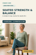 Chair yoga for seniors large-print 21-day guide cover